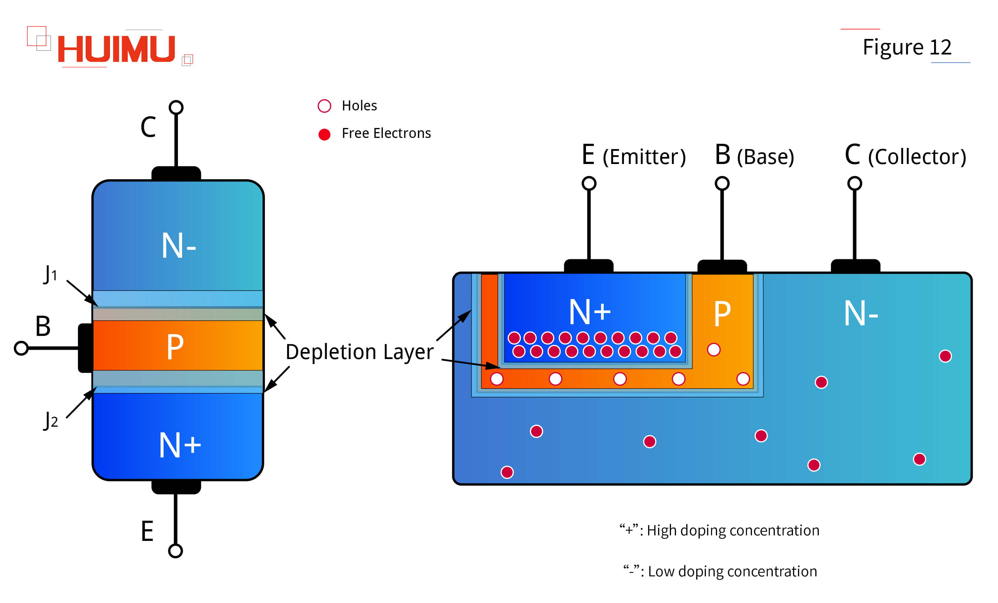 AN16F12 Basic structure of transistors
